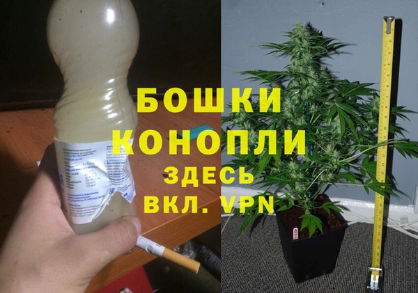 ПСИЛОЦИБИНОВЫЕ ГРИБЫ Армянск