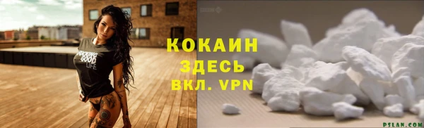 не бодяженный Арсеньев